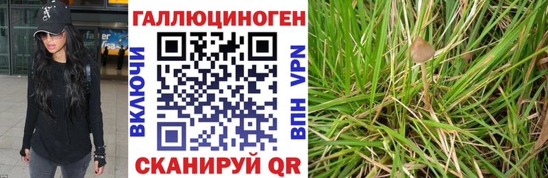 гидра сайт  Бронницы  Псилоцибиновые грибы Psilocybine cubensis 